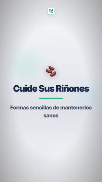 Sus Riñones Limpian Su Sangre