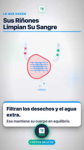 ¿Qué Es la Enfermedad Renal?