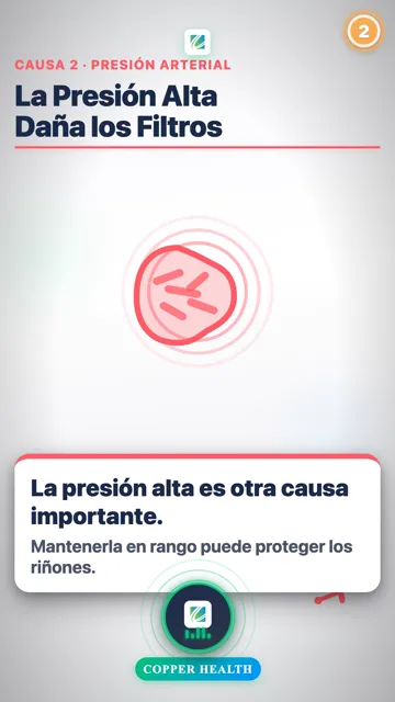 Proteja Sus Riñones