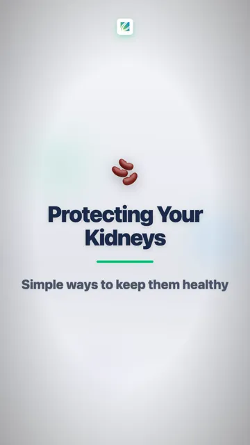 Your Kidneys Clean Your Blood