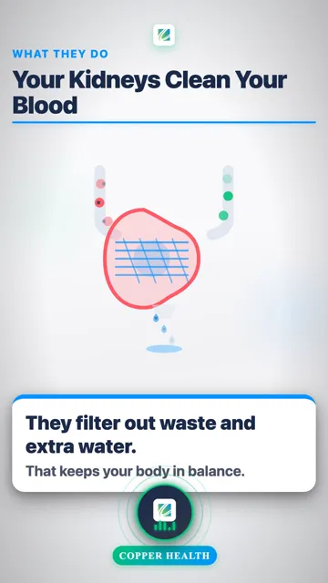 They Filter Less, Slowly, Over Time