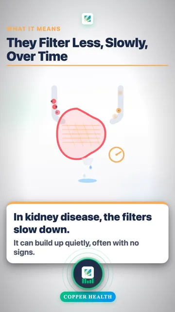 High Blood Sugar Can Harm Filters