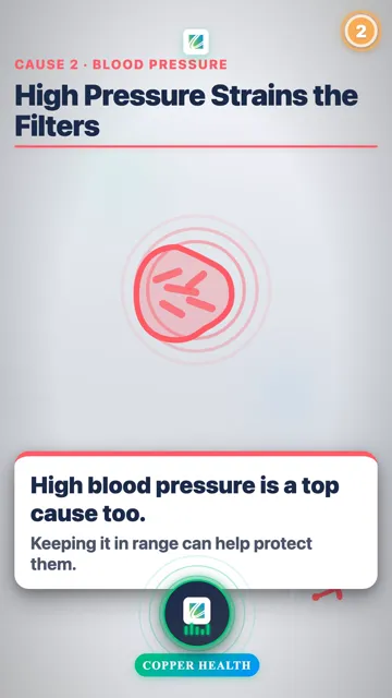 Protect Your Kidneys