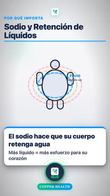 Objetivo Diario de Sodio