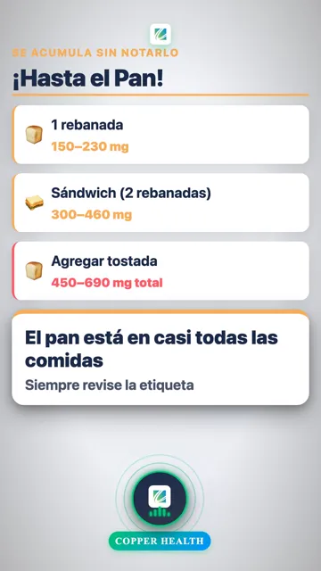 Dónde Se Esconde la Sal