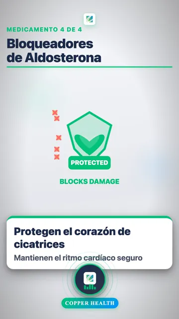 Consejos de Seguridad