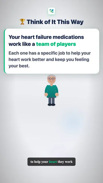 4 Main Players