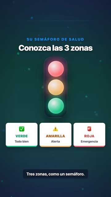 ZONA VERDE / Todo está bien