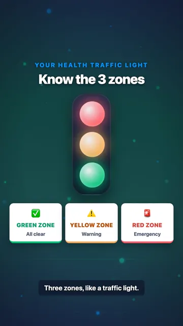 GREEN ZONE / Everything is fine