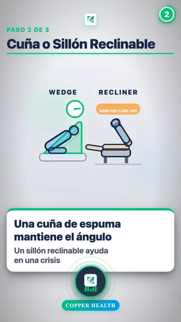 Apoye Toda La Espalda