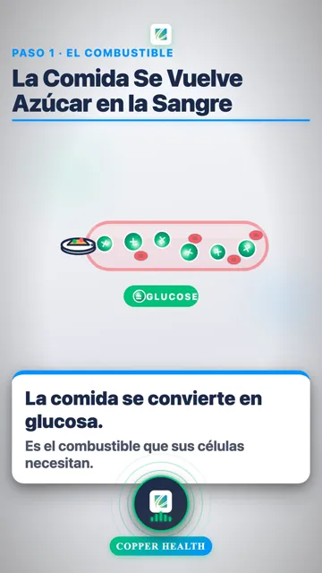 La Insulina Es la Llave