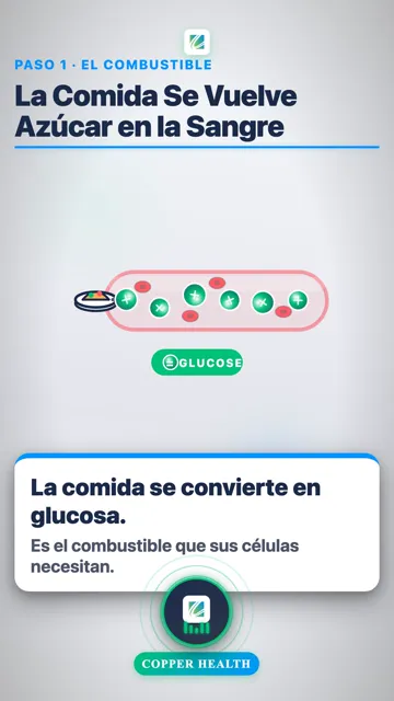 La Llave Abre la Puerta