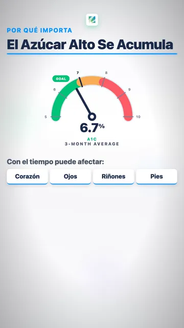 Su Caja de Herramientas