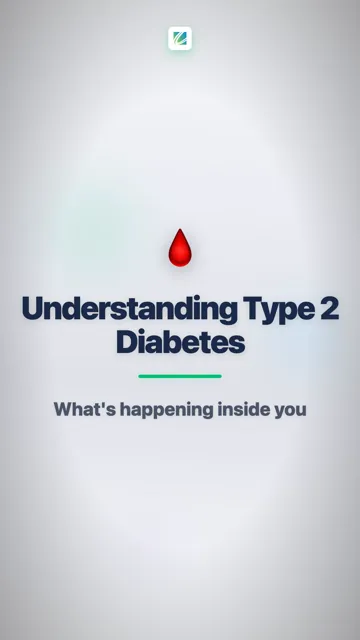 Food Becomes Blood Sugar