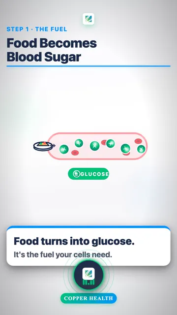 Insulin Is the Key