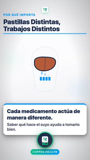 Metformina Calma Su Hígado