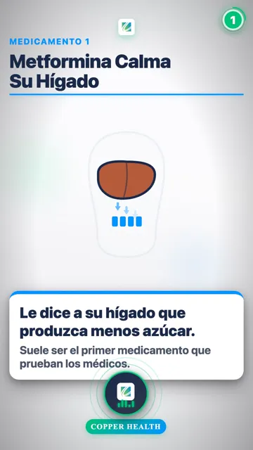 Sulfonilureas Aumentan Su Insulina