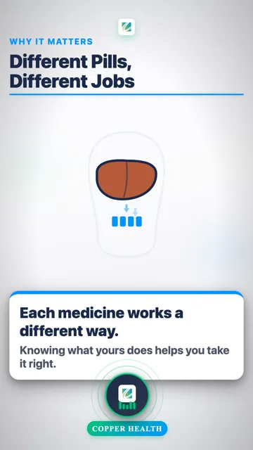 Metformin Calms Your Liver