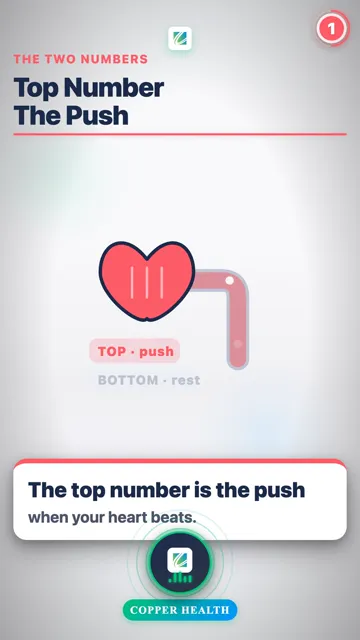 Bottom Number · The Rest