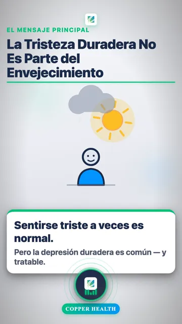 Señales a Reconocer