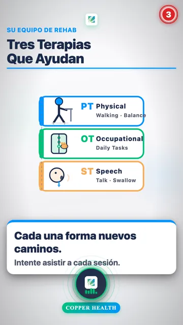 Lo Que Usted Puede Hacer