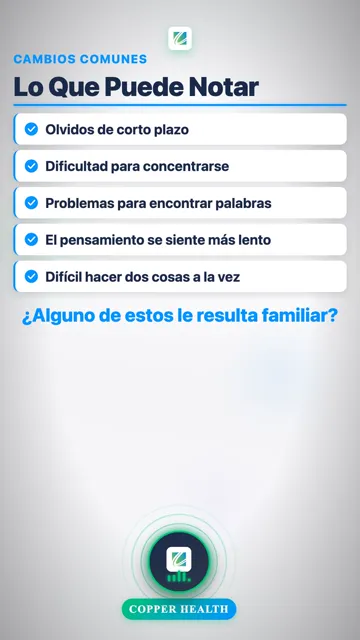 Ayudas para la Memoria