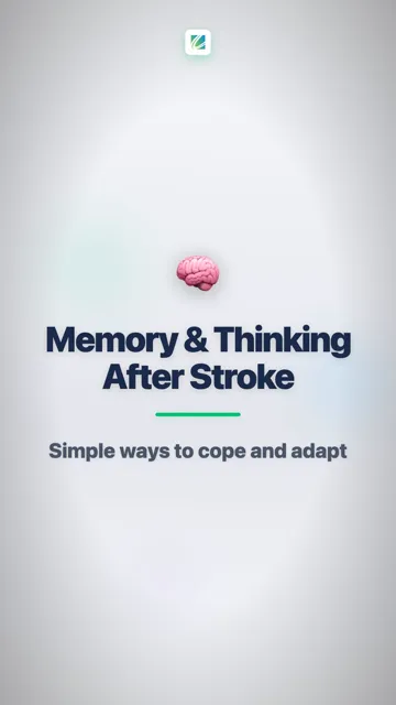 Your Brain Is Healing & Adapting