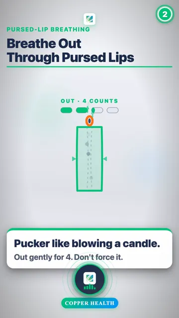 Why It Works