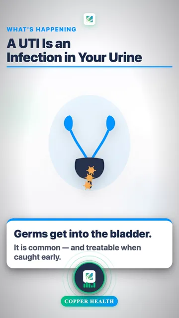 Classic Signs of a UTI